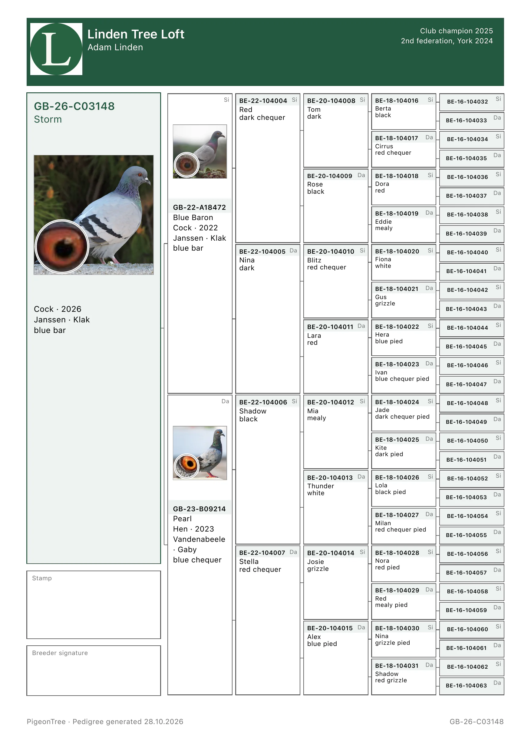 A complete six-generation pedigree exported by PigeonTree